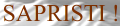 logo SITE 63